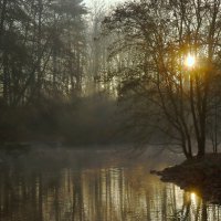 Утро декабря :: Юрий. Шмаков