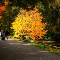 Октябрьским днём :: Юрий. Шмаков