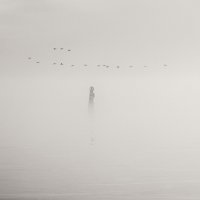 Полёт. :: Анатолий Щербак