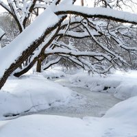 Парк во власти снега. :: Милешкин Владимир Алексеевич 
