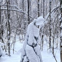 В снежном наряде. :: Людмила Гулина