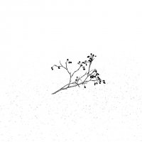 Графика зимы :: Валерий Иванович