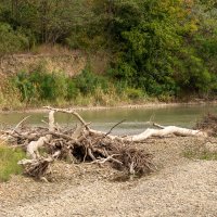 Река Кубань :: Игорь Сикорский