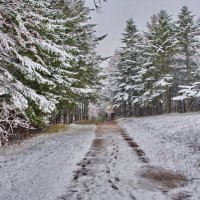 А снег идёт..., :: fillarret-2 