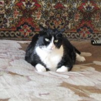 Я отдыхаю :: Людмила Смородинская