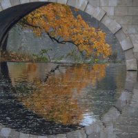 Карпин мост...... :: Юрий Цыплятников Карпин мост...... :: Юрий Цыплятников