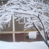 Снежной зимой :: Елена Семигина Снежной зимой :: Елена Семигина