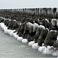 После шторма и мороза. :: Валерия Комова