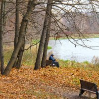 УЕДИНЕНИЕ С ПРИРОДОЙ В ПАРКЕ :: Валентина 
