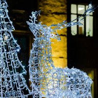 Новогодние украшения города Курска. :: Руслан Васьков Новогодние украшения города Курска. :: Руслан Васьков