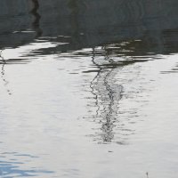 тихий октябрь :: Елена Шаламова