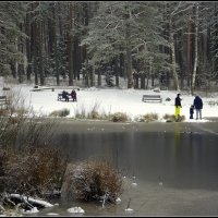 *** :: Aleksandr Gal