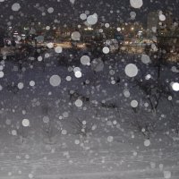 Снег :: Анатолий Чикчирный