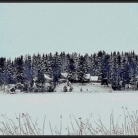 Зима :: Ольга Довженко