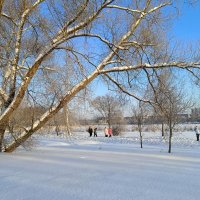 Солнечным днём в январе :: Мария Васильева Солнечным днём в январе :: Мария Васильева