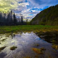 Отражение весны. :: Юрий кот