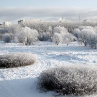 Зимний пейзаж :: жанна нечаева Зимний пейзаж :: жанна нечаева