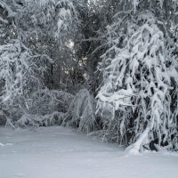 заснежило :: Aleksandr 