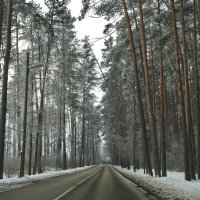 ***** :: ИННА ПОРОХОВА