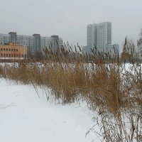 Парк Героев-пожарных :: Наталья Герасимова Парк Героев-пожарных :: Наталья Герасимова