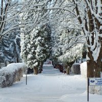 Белоснежно :: Nataly St. Белоснежно :: Nataly St.