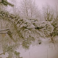 Зима :: Сергей Кочнев