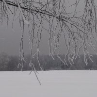 без названия :: fogmeadowww m