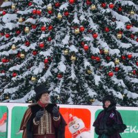 Зима в Царицыно :: Ольга 