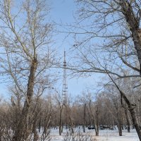 Зимний денек :: Андрей Хлопонин Зимний денек :: Андрей Хлопонин