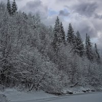 Тайга зимой :: Aleksey Afonin Тайга зимой :: Aleksey Afonin