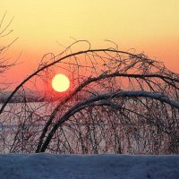 На закате :: Людмила Смородинская