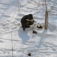 Детские забавы :: Анатолий Чикчирный