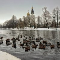 Сестрорецк :: skijumper Иванов Сестрорецк :: skijumper Иванов