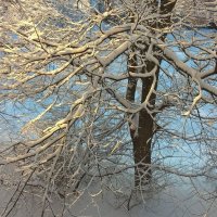 Зима :: Елена Семигина