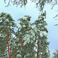 ЗИМА :: Юрий Владимирович 34 ЗИМА :: Юрий Владимирович 34