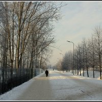 Мороз и солнце :: Aleksandr Gal Мороз и солнце :: Aleksandr Gal