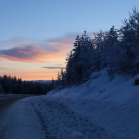 Дорога к солнцу :: Ольга Дорога к солнцу :: Ольга