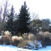 Зимний пейзаж :: Валентин Семчишин