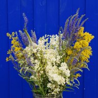 От лета. :: сергей ермошкин