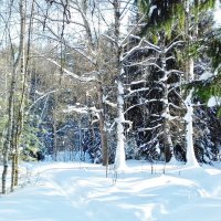 пейзаж :: Владимир 