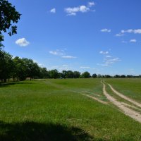 **** :: Виктор