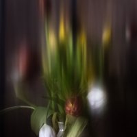 *** :: Сергей Полянский