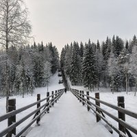 Дорога в чудо :: Ольга Чистякова Дорога в чудо :: Ольга Чистякова