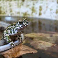 в ожидании стрелы :: Aleksandr