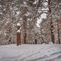 "Заснеженный этнопарк. Заволжье"© :: Владимир Макаров