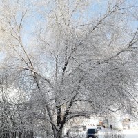 Вот и новый год ... :: Галина Минчук