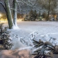 Вечер после снегопада. :: Bosanat Вечер после снегопада. :: Bosanat