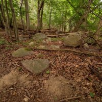 Лесные камни... :: Николай Гирш Лесные камни... :: Николай Гирш