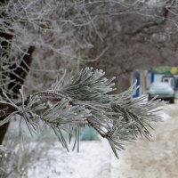 Туманное морозное утро :: Татьяна Смоляниченко Туманное морозное утро :: Татьяна Смоляниченко