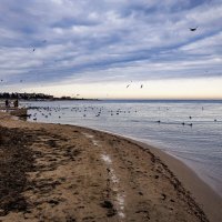 Зима :: Светлана Тихонина Зима :: Светлана Тихонина